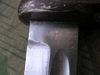 DSCN8946