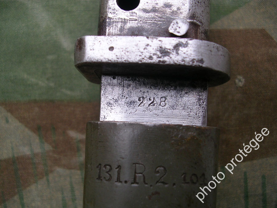 EB19.1c