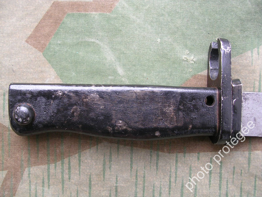 EB3.1c