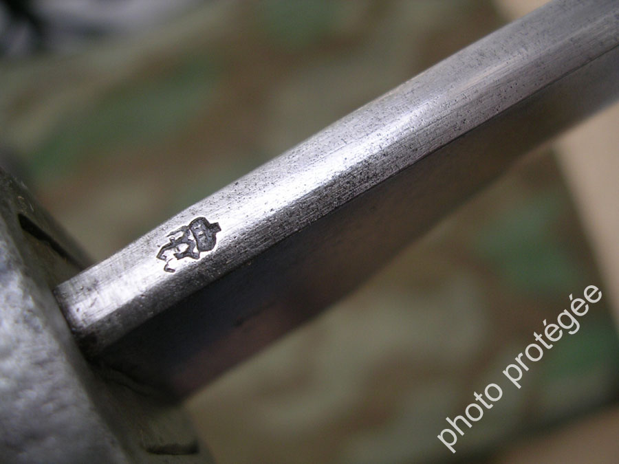 EB5.1c