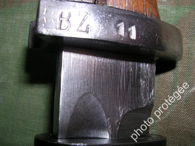 Transi.BZ11.c