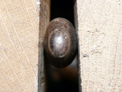 A4